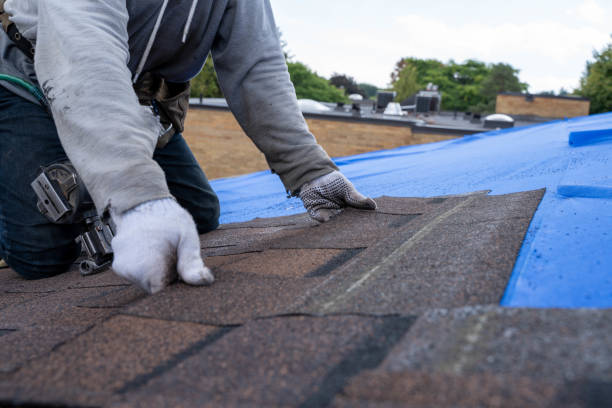 Quick and Trustworthy Emergency Roof Repair Services in Shannondale, WV