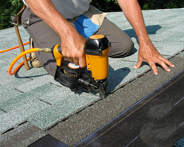 Best Roof Maintenance Services  in Shannondale, WV